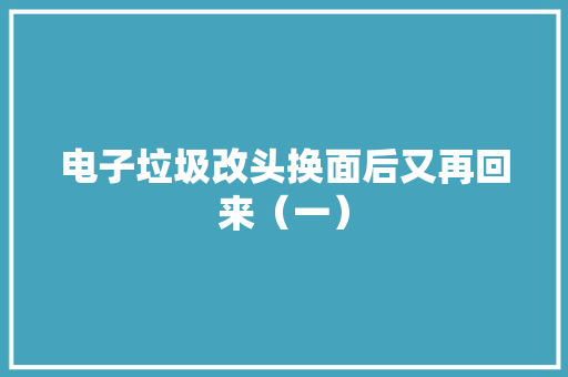 电子垃圾改头换面后又再回来（一）