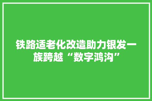 铁路适老化改造助力银发一族跨越“数字鸿沟”