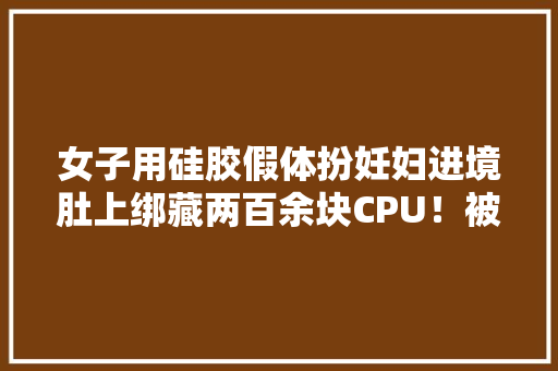 女子用硅胶假体扮妊妇进境肚上绑藏两百余块CPU！被查获