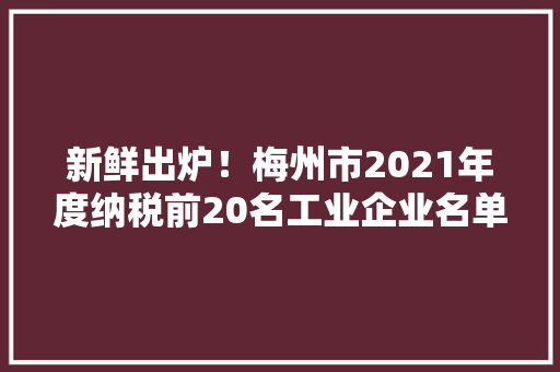 新鲜出炉！梅州市2021年度纳税前20名工业企业名单公布 新鲜出炉！梅州市2021年度纳税前20名工业企业名单公布 人工智能