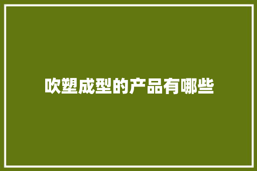 吹塑成型的产品有哪些