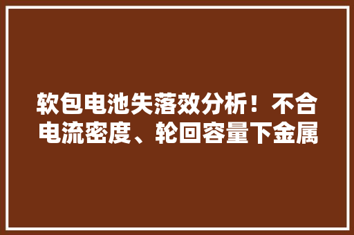 软包电池失落效分析！不合电流密度、轮回容量下金属锂负极失落效相图