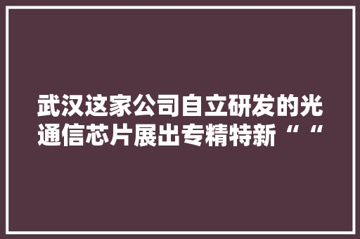 武汉这家公司自立研发的光通信芯片展出专精特新““小巨人”企业齐聚光博会
