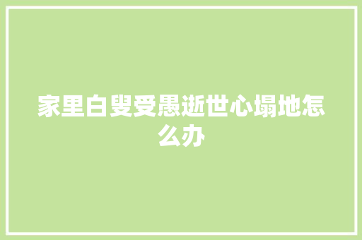 家里白叟受愚逝世心塌地怎么办