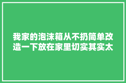 我家的泡沫箱从不扔简单改造一下放在家里切实其实太实用了！