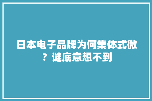 日本电子品牌为何集体式微？谜底意想不到 日本电子品牌为何集体式微？谜底意想不到 智能科技
