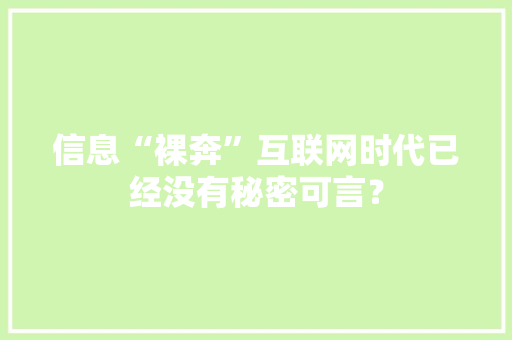 信息“裸奔”互联网时代已经没有秘密可言？ 信息“裸奔”互联网时代已经没有秘密可言？ 人工智能