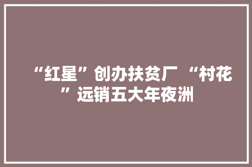 “红星”创办扶贫厂 “村花”远销五大年夜洲 “红星”创办扶贫厂 “村花”远销五大年夜洲 智能家居