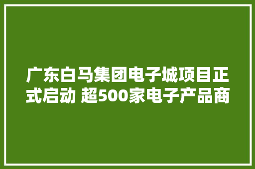 广东白马集团电子城项目正式启动 超500家电子产品商家入驻