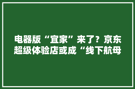 电器版“宜家”来了？京东超级体验店或成“线下航母” 电器版“宜家”来了？京东超级体验店或成“线下航母” 智能科技