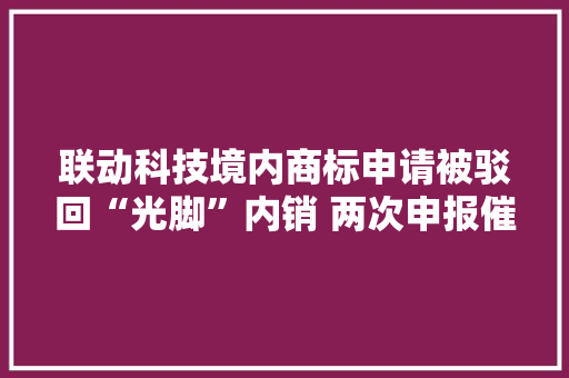 联动科技境内商标申请被驳回“光脚”内销 两次申报催生合同信披抵牾 联动科技境内商标申请被驳回“光脚”内销 两次申报催生合同信披抵牾 智能科技