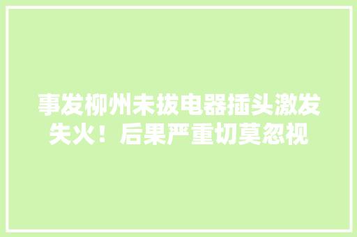 事发柳州未拔电器插头激发失火！后果严重切莫忽视 事发柳州未拔电器插头激发失火！后果严重切莫忽视 智能家居