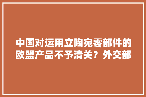 中国对运用立陶宛零部件的欧盟产品不予清关？外交部回应