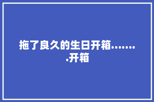 拖了良久的生日开箱……..开箱