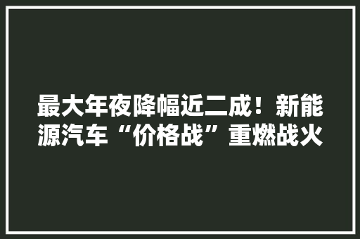 最大年夜降幅近二成！新能源汽车“价格战”重燃战火？