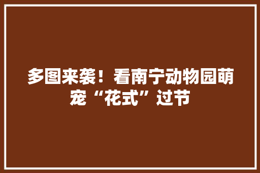多图来袭！看南宁动物园萌宠“花式”过节