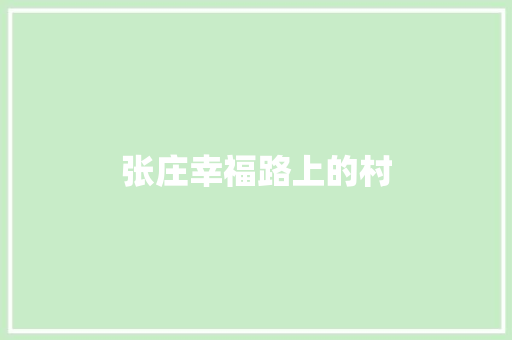 张庄幸福路上的村