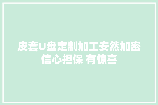 皮套U盘定制加工安然加密信心担保 有惊喜 皮套U盘定制加工安然加密信心担保 有惊喜 智能科技