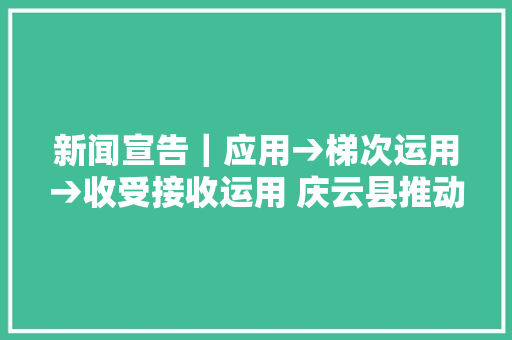 新闻宣告｜应用→梯次运用→收受接收运用 庆云县推动锂电家当集群成长新态势
