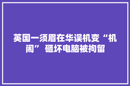 英国一须眉在华误机变“机闹” 砸坏电脑被拘留