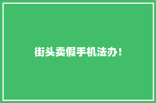 街头卖假手机法办！ 街头卖假手机法办！ 智能家居