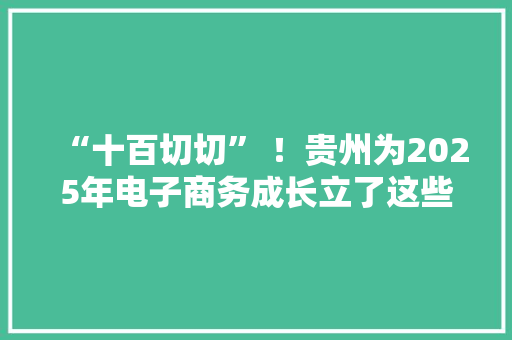 “十百切切” ！贵州为2025年电子商务成长立了这些“小目标”