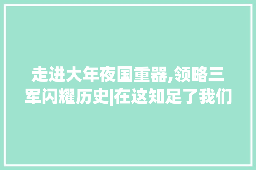 走进大年夜国重器,领略三军闪耀历史|在这知足了我们对轻武器的好奇心