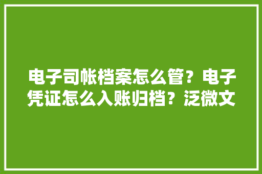 电子司帐档案怎么管？电子凭证怎么入账归档？泛微文书定帮您解决