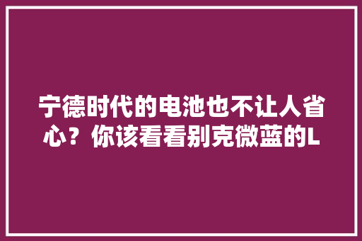 宁德时代的电池也不让人省心？你该看看别克微蓝的LG电芯了 宁德时代的电池也不让人省心？你该看看别克微蓝的LG电芯了 人工智能