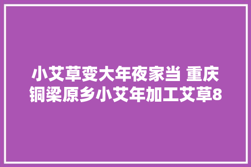 小艾草变大年夜家当 重庆铜梁原乡小艾年加工艾草8000吨