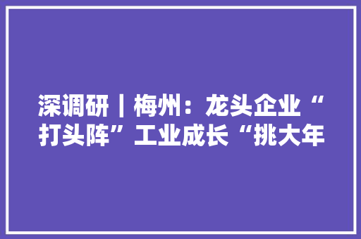 深调研｜梅州：龙头企业“打头阵”工业成长“挑大年夜梁”
