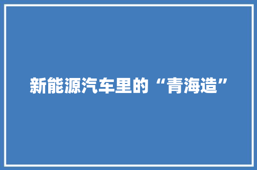 新能源汽车里的“青海造” 新能源汽车里的“青海造” 智能家居