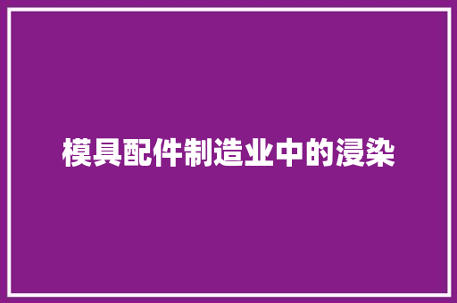 模具配件制造业中的浸染 模具配件制造业中的浸染 智能科技