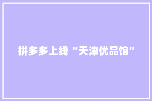 拼多多上线“天津优品馆”