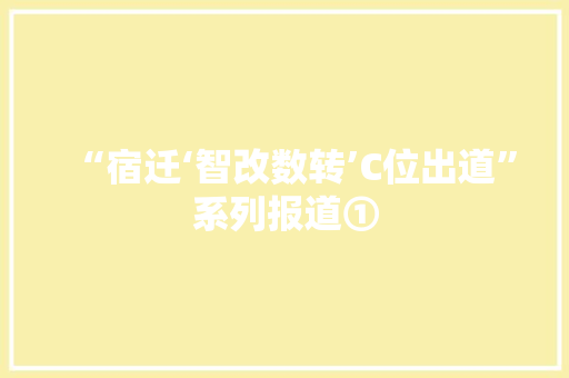 “宿迁‘智改数转’C位出道”系列报道①