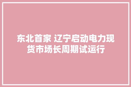 东北首家 辽宁启动电力现货市场长周期试运行