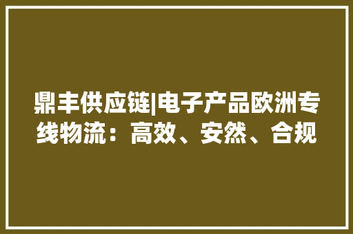 鼎丰供应链|电子产品欧洲专线物流：高效、安然、合规的新选择