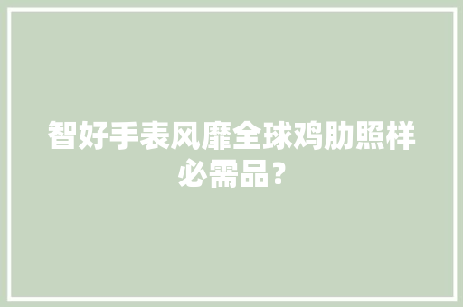智好手表风靡全球鸡肋照样必需品？