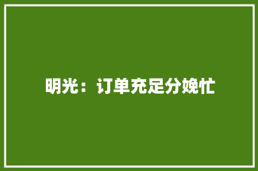 明光：订单充足分娩忙 明光：订单充足分娩忙 互联通信