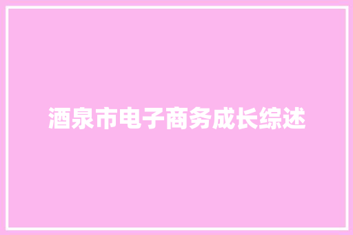 酒泉市电子商务成长综述