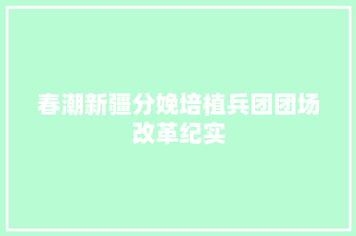 春潮新疆分娩培植兵团团场改革纪实