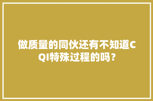 做质量的同伙还有不知道CQI特殊过程的吗？
