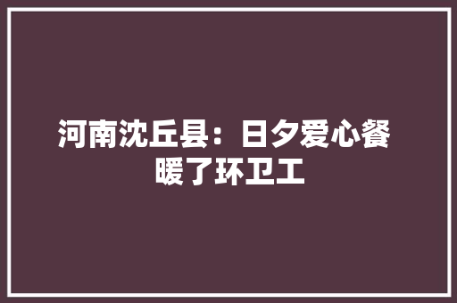 河南沈丘县：日夕爱心餐 暖了环卫工