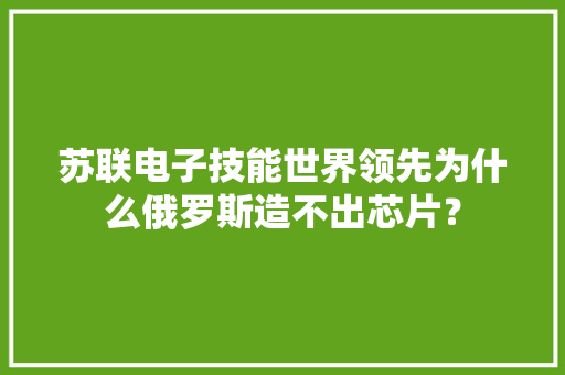苏联电子技能世界领先为什么俄罗斯造不出芯片？
