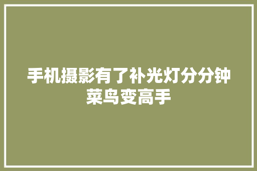 手机摄影有了补光灯分分钟菜鸟变高手