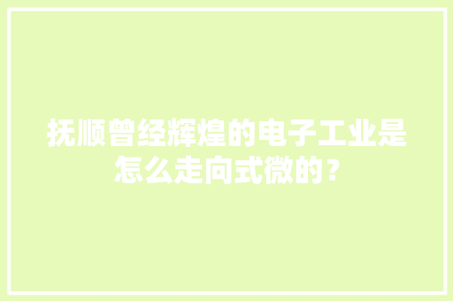 抚顺曾经辉煌的电子工业是怎么走向式微的？