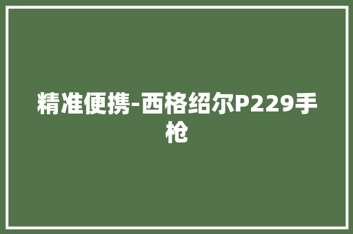 精准便携-西格绍尔P229手枪