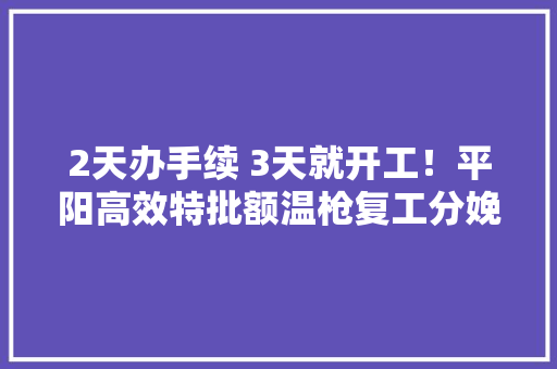 2天办手续 3天就开工！平阳高效特批额温枪复工分娩