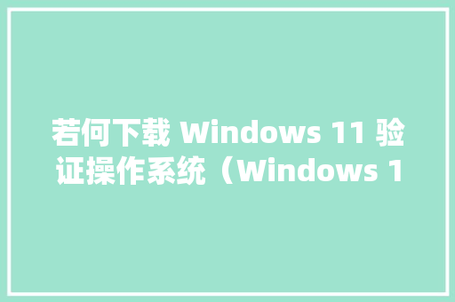 若何下载 Windows 11 验证操作系统（Windows 11 Validation OS）