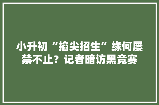 小升初“掐尖招生”缘何屡禁不止？记者暗访黑竞赛